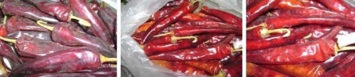 Esayas identifies three varieties of Ethiopian hot peppers: Mareko Fana, Bako local, Oda Haro